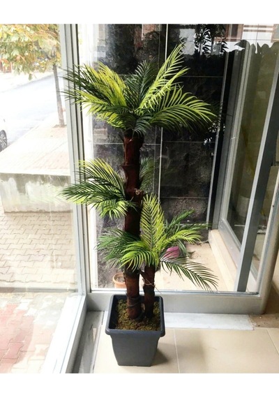 Cihan Çiçekçilik Dekoratif Yapay Çikas Ağacı 150 Cm Beyaz- Yeşil
