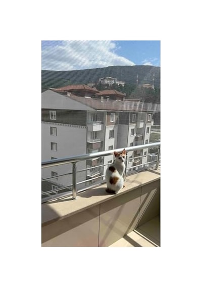 2.20 X 3 Metre Beyaz Balkon, Kedi Ve Kuş Filesi