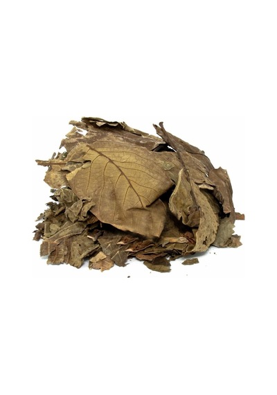 Lokman Aktar Ceviz Yaprağı 100 G