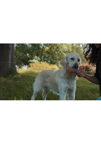 Twisstydog Kauçuk Köpek Çiğneme Oyuncağı, Ağız Temizleyici, Diş