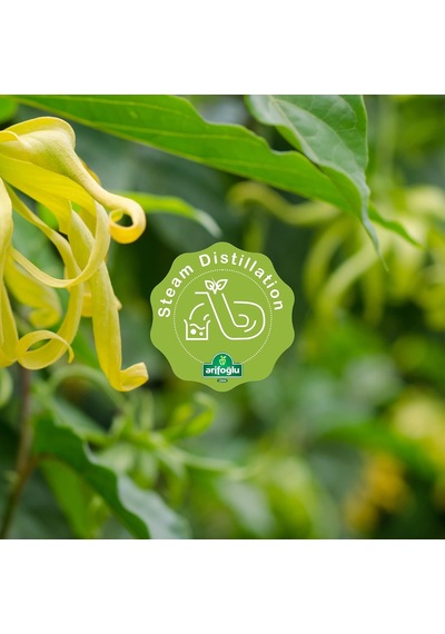 Ylang Ylang Yağı 20 Ml Diğer 66019920