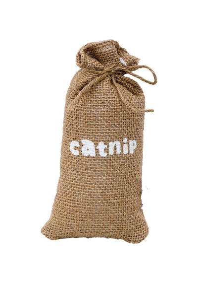Ilkeshop Eastland Kraft Catnip Kedi Çuvalı 16x8 Cm