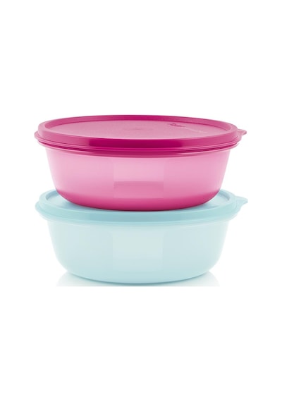 Tupperware Saklama ve Servis Kabı 2'li Set 600 ml