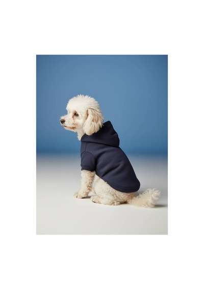 Kapüşonlu Kedi Köpek Kıyafeti Sweatshirt Hoodie Evcil Hayvan Giysisi