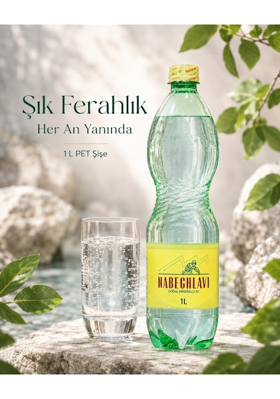 Nabeghlavi Pet 6 x 1 L Koli