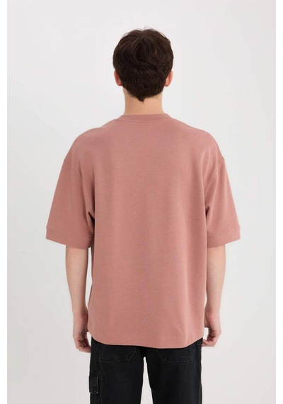 DeFacto Loose Fit Bisiklet Yaka Baskılı Ağır Kumaş Tişört D8462AX25SPBR165 DeFacto Loose Fit Bisiklet Yaka Baskılı Ağır Kumaş Tişört D8462AX25SPBR165
