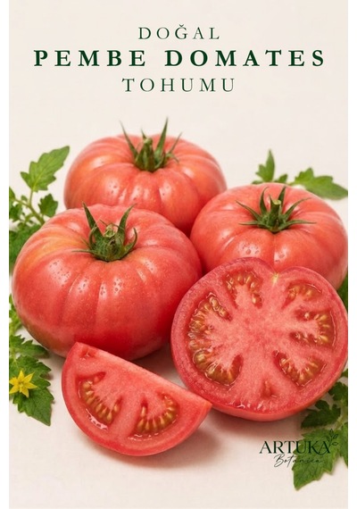 Doğal Pembe Domates Tohumu 100 Ad Ata Tohum