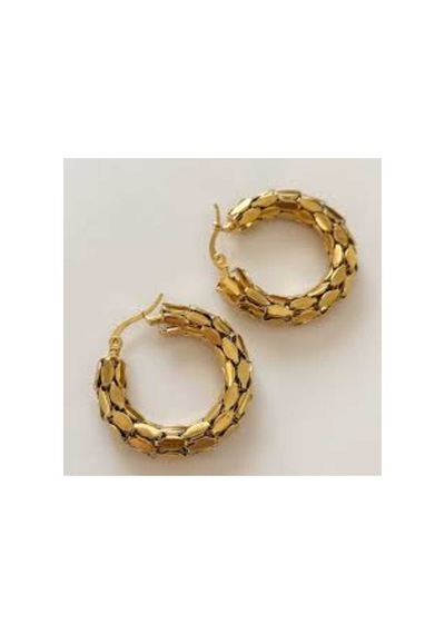 Arpa Desenli Çelik Halka Küpe Gold - 661708097 Gold