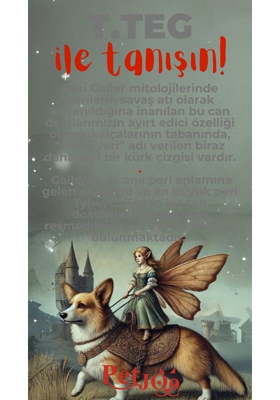 Petjoo 15.T.Teg Kırmızı-Gri Qr'lı Köpek Künyesi