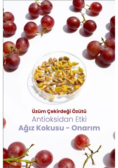 3 1 Üzüm Çekirdeği Paketi Aktif Probiyotik Doğal Florürsüz Diş Macunu
