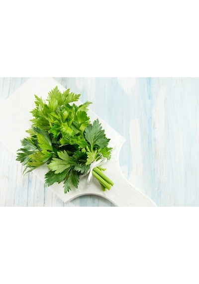 Yaprak Kereviz Tohumu