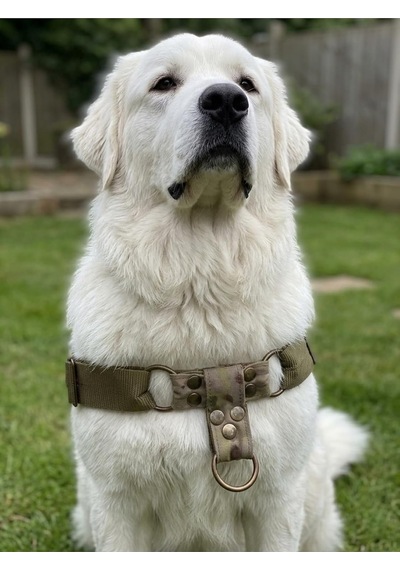 Köpek Göğüs Tasması Ayarlanabilir Büyük Irk Ön Ve Arka Çekmeli Kolon Kordon Kamuflaj Köpek Göğüs Tasması Ayarlanabilir Büyük Irk Ön Ve Arka Çekmeli Kolon Kordon Kamuflaj