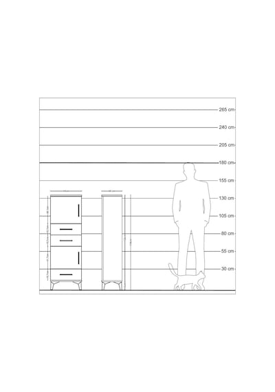 Arges Dolap 2 Raflı 3 Çekmeceli 2 Kapaklı 44x30x134 Antrasit-... Antrasit