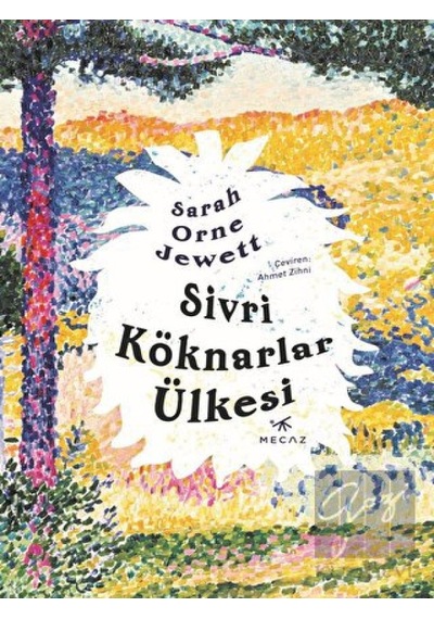 Sivri Köknarlar Ülkesi - Sarah Orne Jewett - Mecaz
