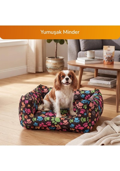 4'lü Kedi Köpek Konfor Seti Çadır Minder Mama Su Kabı Standı Vantuzlu Cam Yatağı Evcil Hayvan Seti