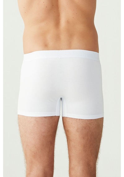 U.S. Polo Assn. U S Polo Assn Erkek Beyaz 3 Lü Boxer 2488 Beyaz