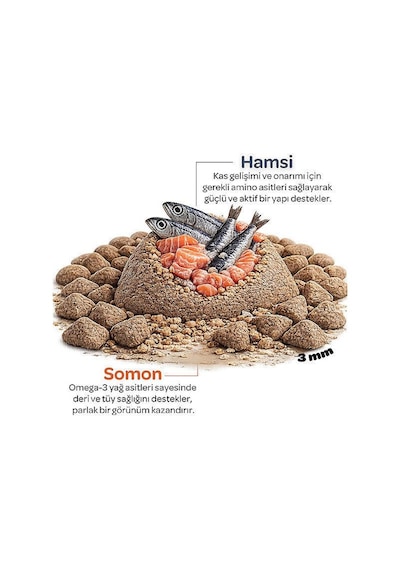 Obivan Kitten Somonlu Ve Hamsili Yavru Kedi Maması 2 Kg
