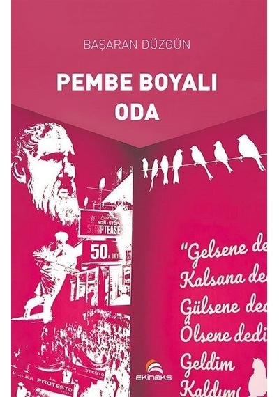 Pembe Boyalı Oda / Başaran Düzgün