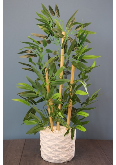 Saksıda Bambu Ağacı Koyu Yeşil 65 Cm Taşlı Model Yeşil
