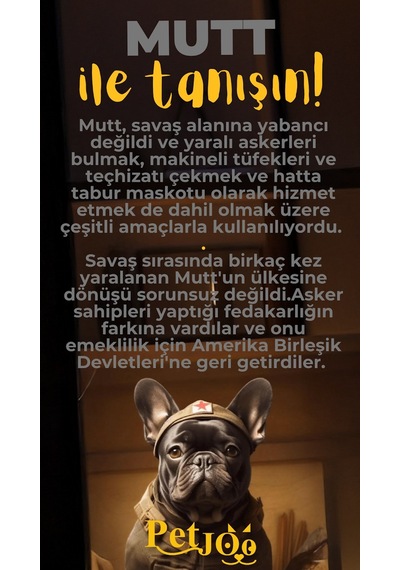 Petjoo 10.Mutt Sarı-Gri Qr'lı Köpek Künyesi