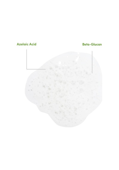 Enzyme-foam Temizleme Köpüğü 150 Ml