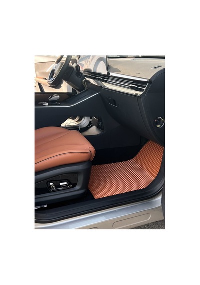 Chery Omoda 5 Eva Oto Paspas Takımı Açık Taba & Siyah