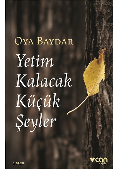 Yetim Kalacak Küçük Şeyler: An’Lar Kitabı - Oya Baydar  - Can Yayınları