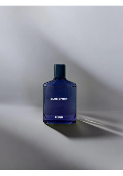 Erkek Blue Spirit Parfüm 100 Ml Diğer