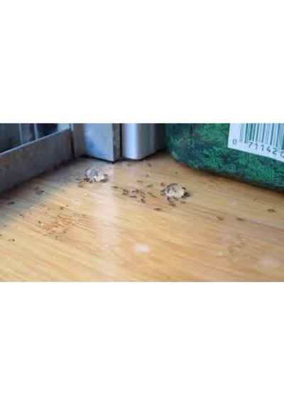 Bayer Habitro Karınca Il Yemi 80 Gr