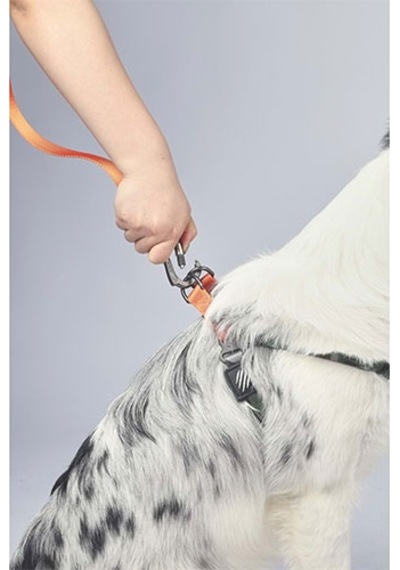 M-pets Wild Jungle Köpek Gezdirme Kayışı Turuncu Small-medium 1x120 Cm 244-58030.01 Renkli
