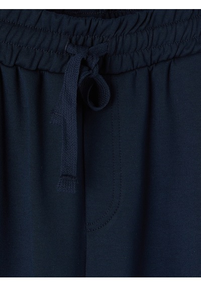 LC Waikiki Lc Waıkıkı Lacivert Regular Fit Erkek Pijama Alt Şort