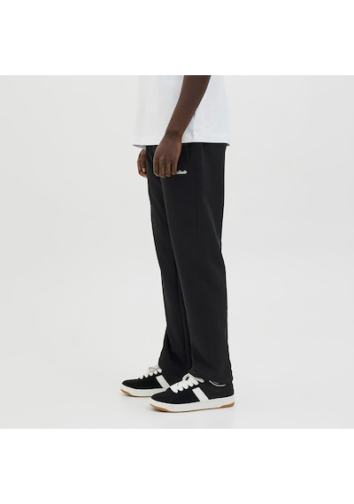 Jack & Jones Stkane Norrebro Erkek Siyah Eşofman Altı 12282553-b Siyah