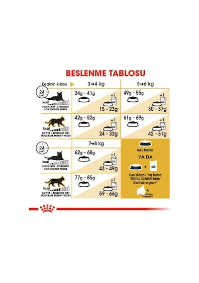 Royal Canin British Shorthair Adult Kedi Kuru Maması 2 Kg