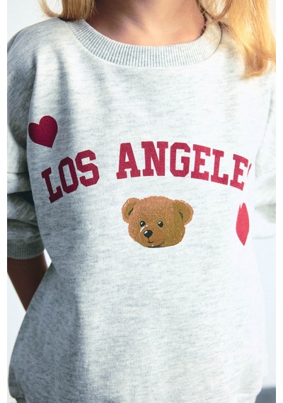 Defacto Regular Fit Bisiklet Yaka Baskılı Kalın Sweatshirt Kız Bebek I1707a526augr421 Gri-gr421