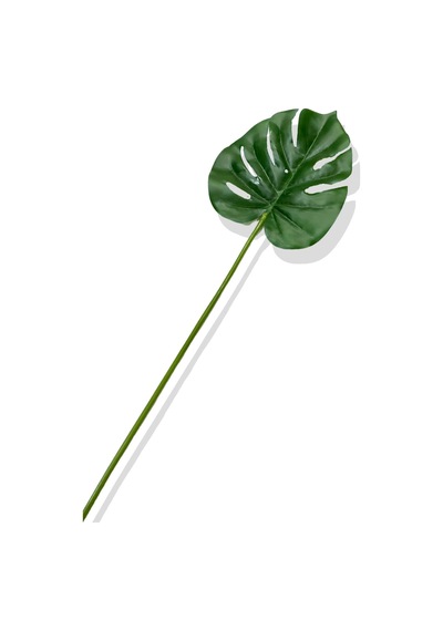 Cihan Çiçekçilik Yapay Tek Dal Monstera Yaprağı 68 Cm Yeşil
