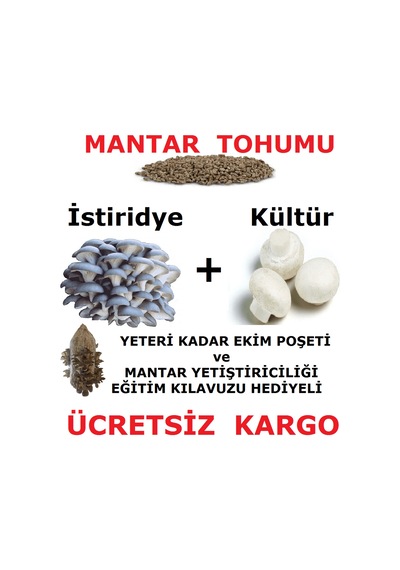 2000 Adet İstiridye Ve 2000 Adet KüLür Mantarı Tohumu