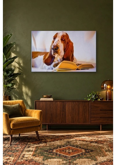 Fida Kitap Okuyan Basset Hound Canvas Tablo Çok Renkli