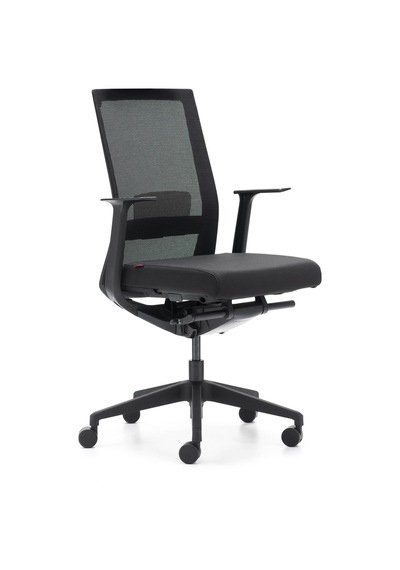 Rapido Rapido Ergonomik Çalışma Koltuğu A-One
