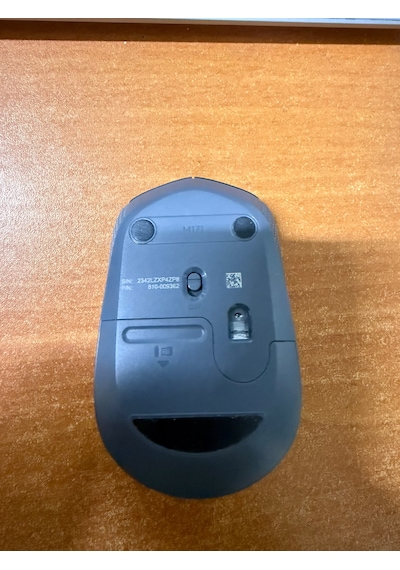 Logitech M171 910-004424 Siyah Optik Kablosuz Mouse