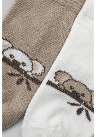 Cocole Socks Erkek Çocuk Patik Çorabı 2 Li Set Krem & Bej Koala Desenli Çok Renkli