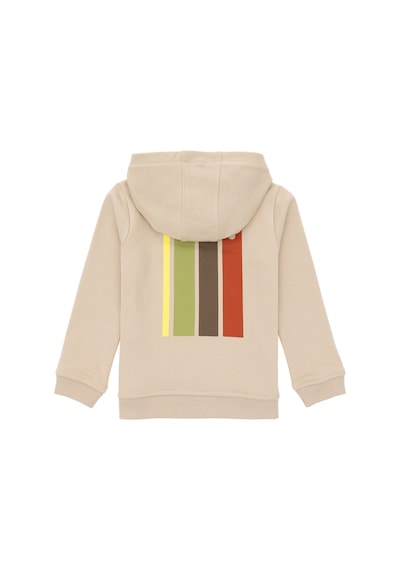 U.S. Polo Assn. Erkek Çocuk Taş Kapüşonlu Sweatshirt 50293489-VR049