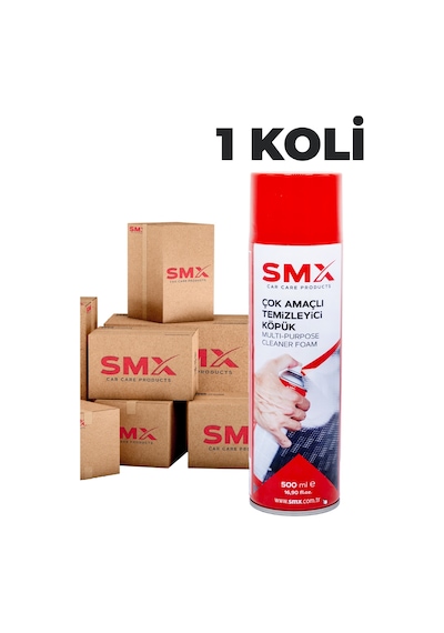 Çok Amaçlı Temizleyici Köpük 1 Koli