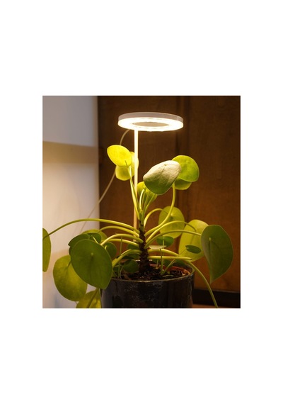 Tam Spektrumlu Bitki Yetiştirme Led Lamba Melek Halka Günışığı 8w 5v Usb