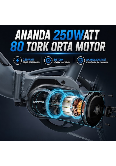 AsVIVA B14T 28 Jant Orta Motorlu Hollanda Elektrikli Bisiklet 14AH