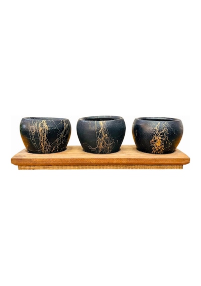 Bitki Tasarımı Black Marble Premium 3'lü Sukulent Kaktüs Saksı Seti Ahşap Standlı Dekoratif Saksılık 0.9 L