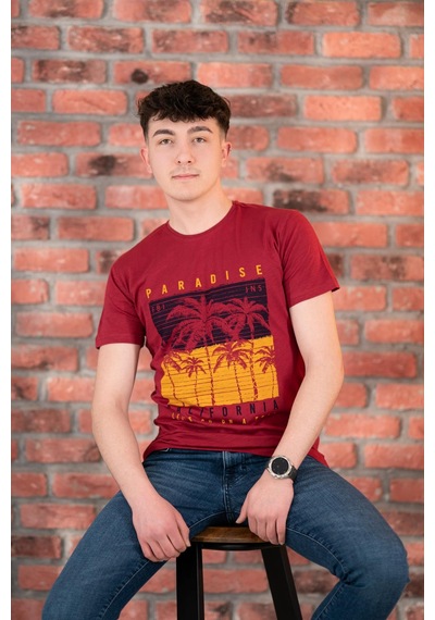 Fbı Jeans Desenli Slimfit Pamuklu Erkek T-shirt 001