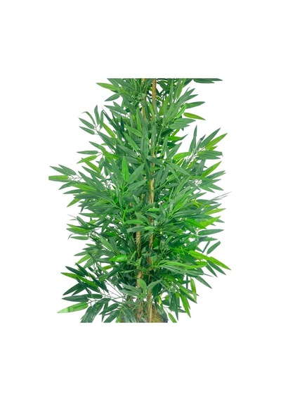 Yapay Bambu Ağacı 5 Sopalı 150cm Yoğun Yapraklı Yeşil