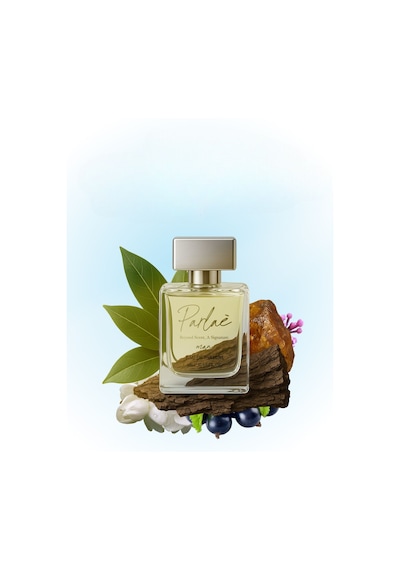 Parlae Erkek Parfüm EDP 50 ML