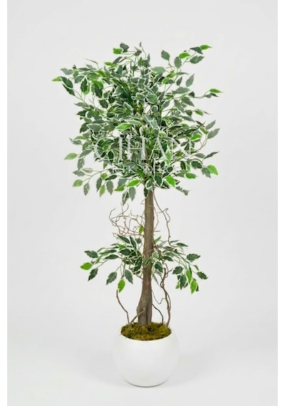 Yapay Benjamin Starlight Ağacı Beyaz-yeşil 120 Cm Küre Saksılı