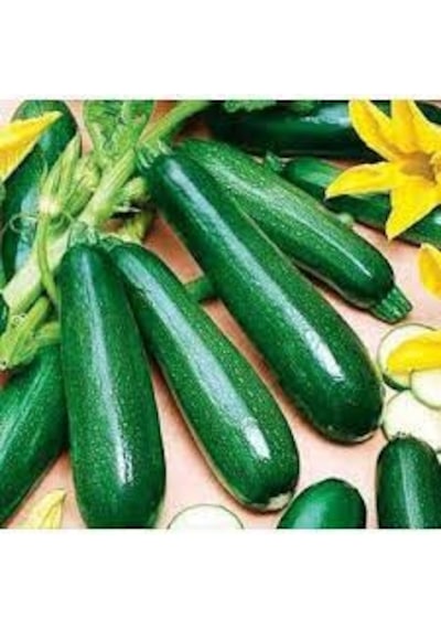 100 Adet Tohum Eko Paket Kara Kolsuz Kabak Tohumu Lezzetli Kabak